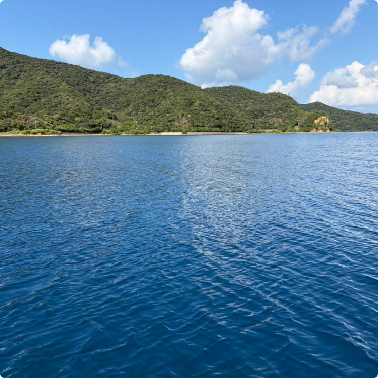 山々に抱かれる、穏やかな湾。
